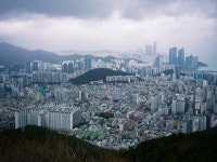 비 오는 날의 산책