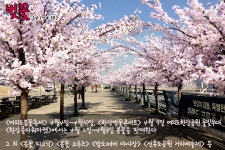 한강의 봄을 즐기자~~                 