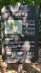 10화 ⑨산길이 곧기도 하구나