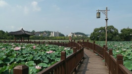 전라북도여행, 가볼만한 곳! 전주, 군산, 정읍, 부안