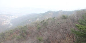 21화 봄, 봄꽃을 보며 아차산에서 용마산 거쳐 망우산까지..