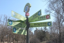 19화 경기옛길 삼남길 8 오산 물향기 수목원 스케치, 궐리사