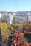 04화 가을, 풍림1차아파트 앞마당 북한산 자락길 단풍 풍경