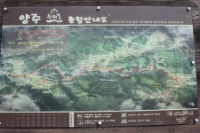 22화 봄꽃, 진달래 산수유 탄생 비 온 뒤 노고산에서 북한산