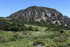 제주도 그 자체는 ‘한라산‘이다