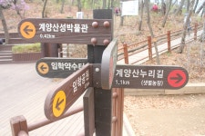 24화 바다가 보이는 인천 계양산에서 북한산 관악산