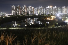 흔들리는 시흥 갯골 전망대에서 일몰을 배곧생명공원 바다