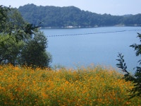 가을 소풍을 떠나다 - 첫 번째 이야기