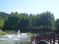 가을 소풍을 떠나다 - 첫 번째 이야기