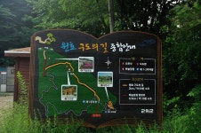 3대 문화권으로 떠나는 삼삼한 여행,팔공산 하늘정원