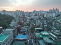 전망 좋은 집