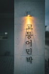 푸른 바다가 그리운 날, 제주동쪽 바다로 : 고등어민박