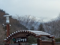 봄의 향기
