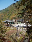 신촌(新村)과 노촌(老村)-치악산 향로봉 가는 길에서