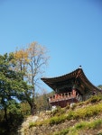 신촌(新村)과 노촌(老村)-치악산 향로봉 가는 길에서