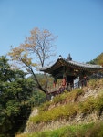 신촌(新村)과 노촌(老村)-치악산 향로봉 가는 길에서