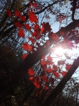 신촌(新村)과 노촌(老村)-치악산 향로봉 가는 길에서