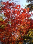 신촌(新村)과 노촌(老村)-치악산 향로봉 가는 길에서