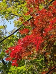 신촌(新村)과 노촌(老村)-치악산 향로봉 가는 길에서