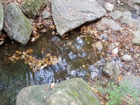 신촌(新村)과 노촌(老村)-치악산 향로봉 가는 길에서
