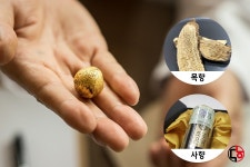 공진단의 종류 1편 - 목향 공진단