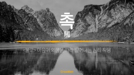 촉