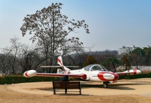 봄을 기다리는 공원 숲
