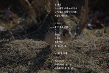 [가능하면 1일 1시] 7월 볕 아래