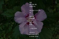 [가능하면 1일 1시] 비 새 무궁화