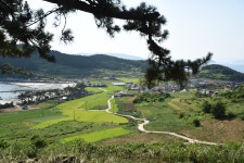 돌담 이야기