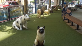 포토맥강가의 즐거움