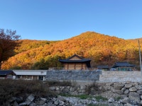 손편지