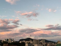 백반 먹고, 이 동네에 살기로 했다