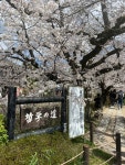 250404 교토여행