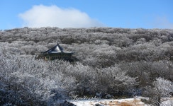 겨울엔 1100고지