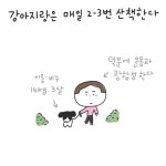 강아지랑 산책하다 보면