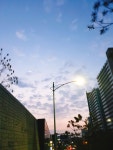 호우호우 미세먼지 완전정복