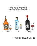 양주 못지않게 비싼 한국의 고급술들, 맛은 어떨까?
