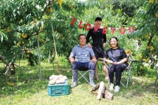 수상한 복숭아 농장