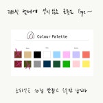 인사쿨톤 #33 미니멀리스트의 옷장