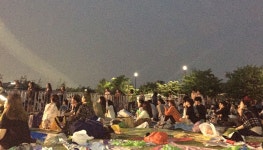 봄의 낭만, 페스티벌 제대로 즐기기! 봄의 낭만,  페스티벌 제대로 즐기기!