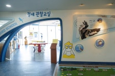서해안 최대의 생태여행지 금강 하구 in 서천
