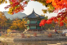 깊어가는 가을, 겨울이 오기 전에 서울 고궁 나들이