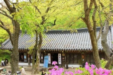 강화도 최고 사찰을 찾아서 전등사와 보문사 강화도 최고 사찰을 찾아서  전등사와 보문사