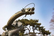 단 하루로 호미곶과 구룡포까지, 포항 봄여행 추천 코스
