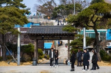 단 하루로 호미곶과 구룡포까지, 포항 봄여행 추천 코스