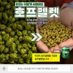 알고 마시면 더욱 맛있는 맥주 테라는 왜 청정라거일까