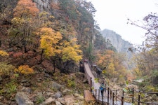 화려한 오색 단풍길-설악산 흘림골에서 오색약수까지!