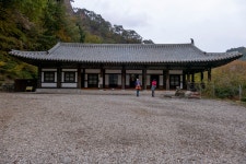 화려한 오색 단풍길-설악산 흘림골에서 오색약수까지!