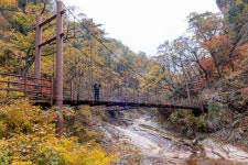 화려한 오색 단풍길-설악산 흘림골에서 오색약수까지!